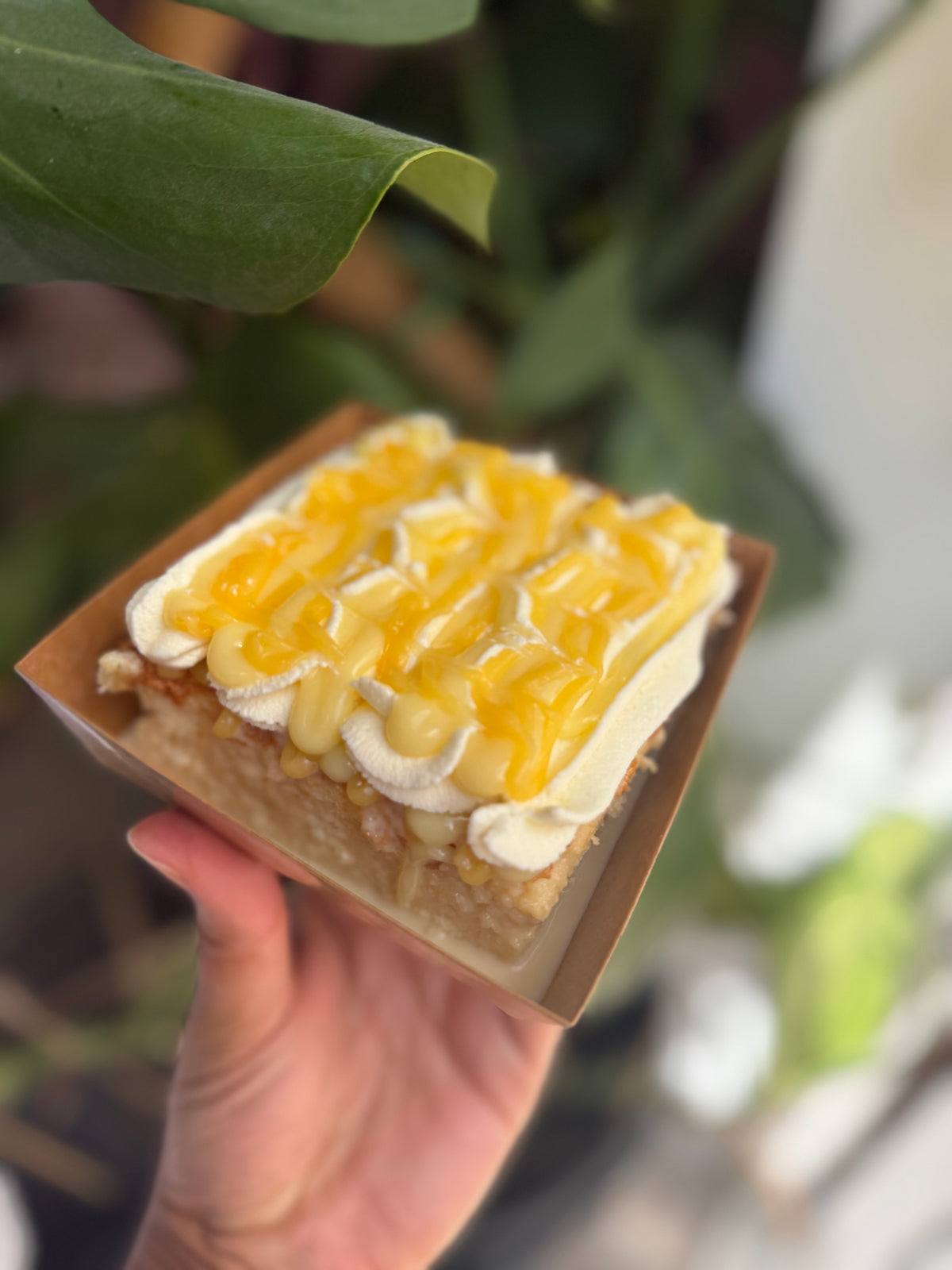 Milk cake (NEW!)