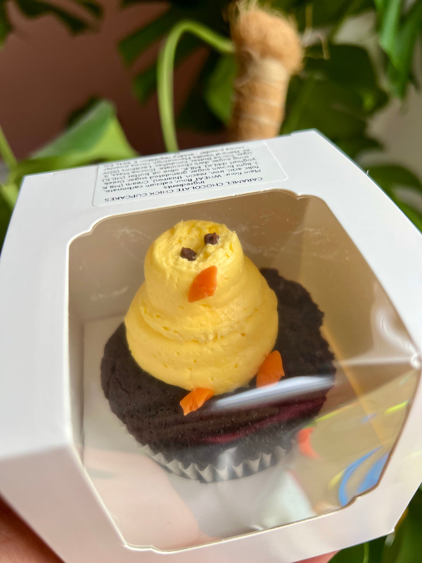 Cupcakes