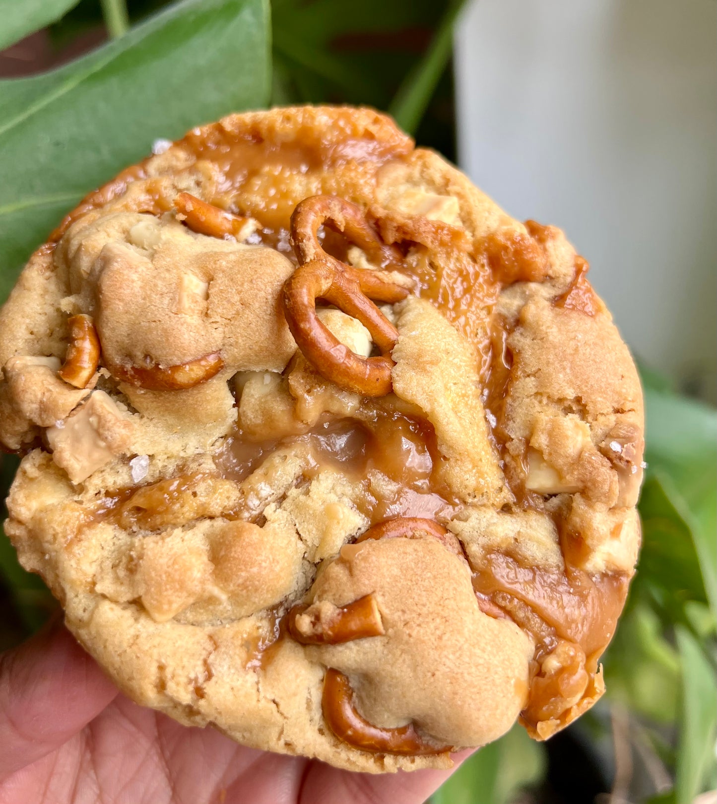 Cookies