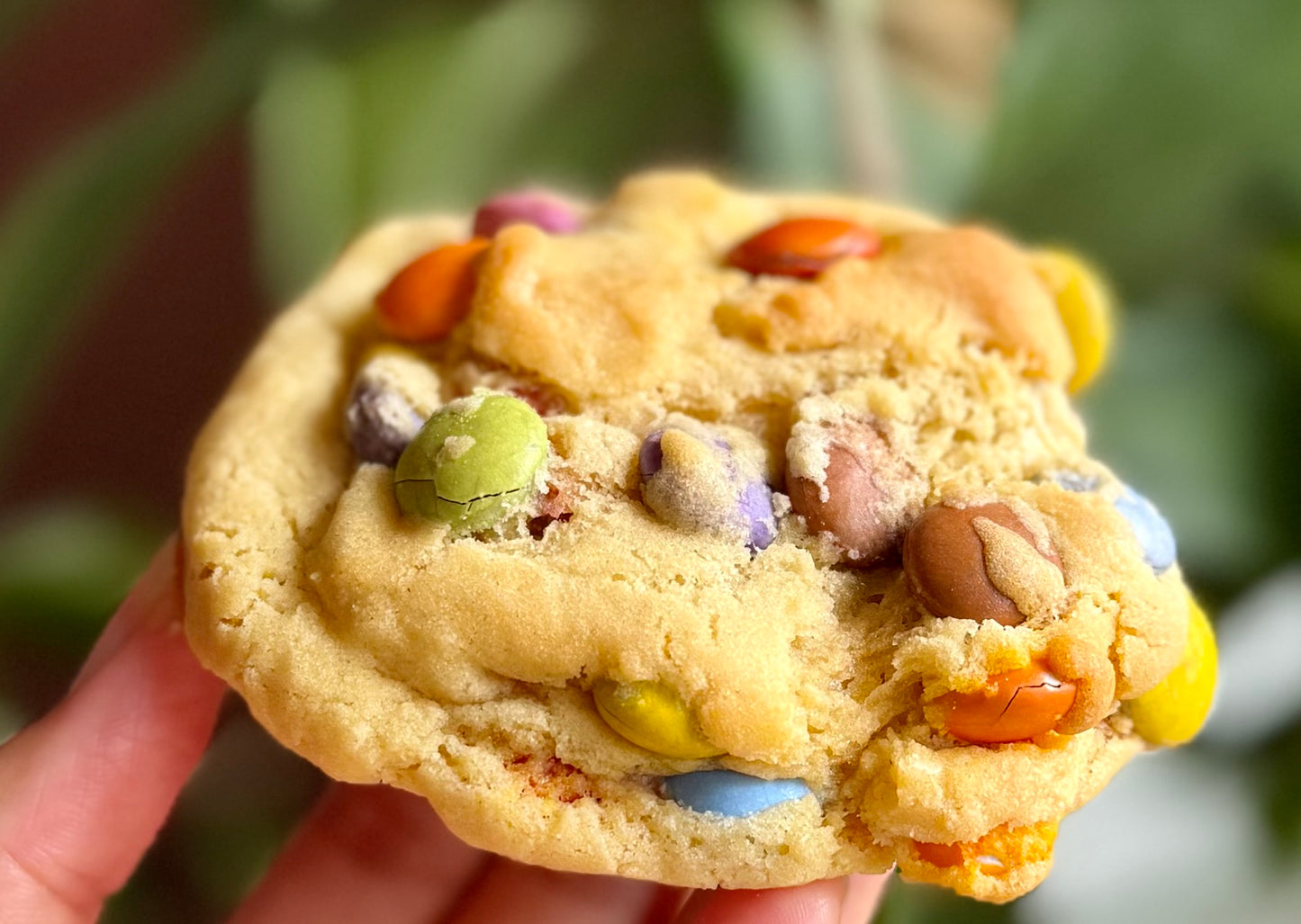 Cookies