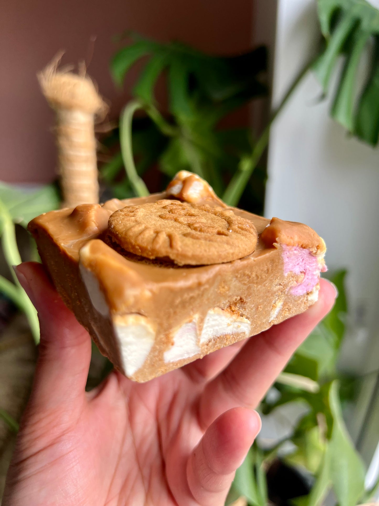 Traybakes