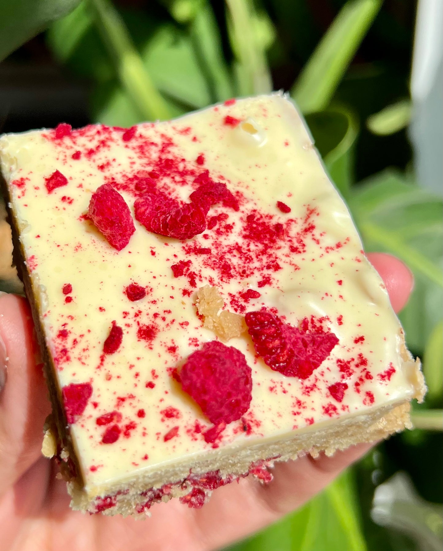 Traybakes