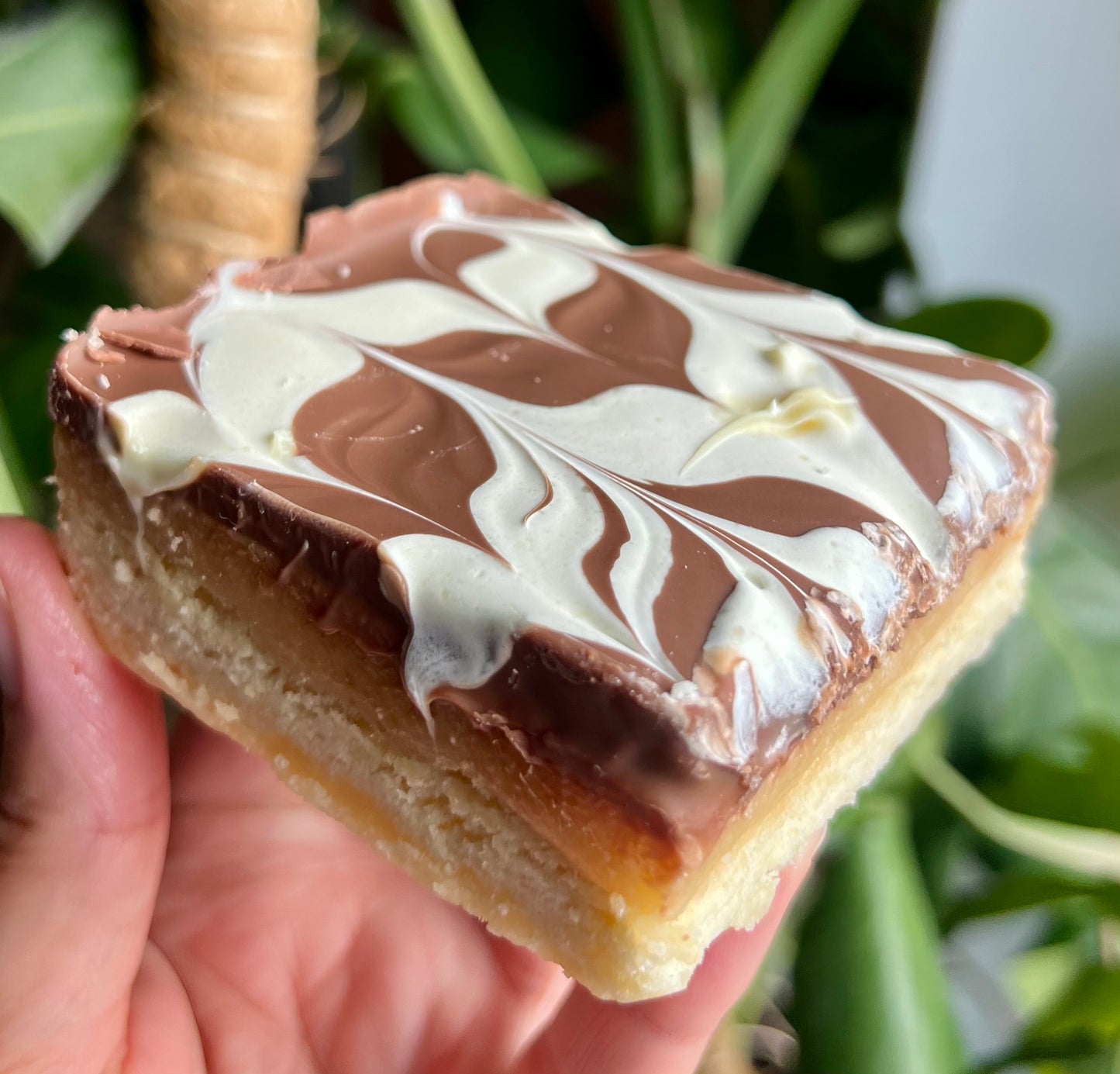 Traybakes