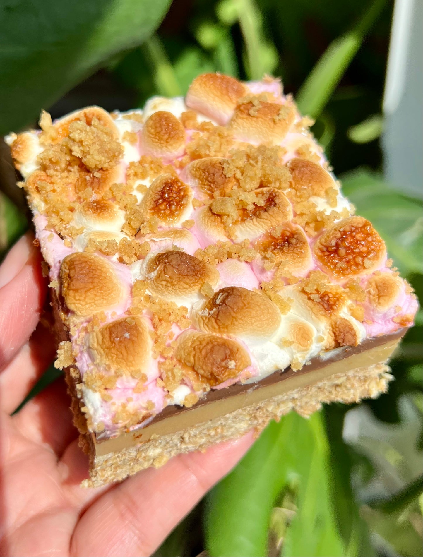 Traybakes