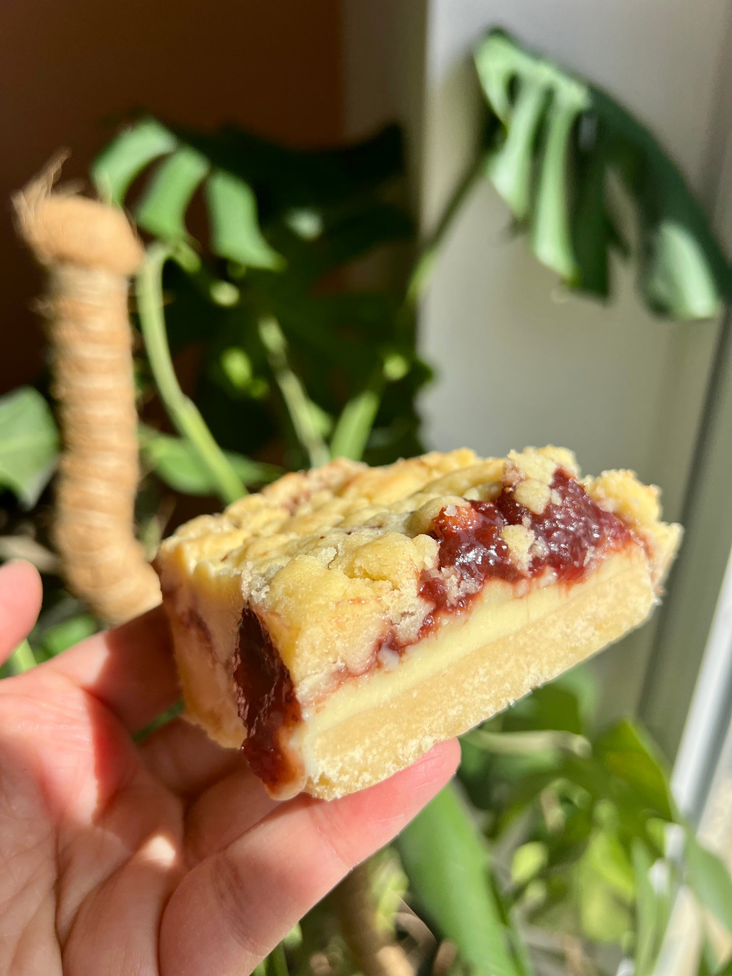 Traybakes